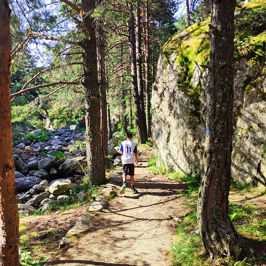 Eco-hiking forest path